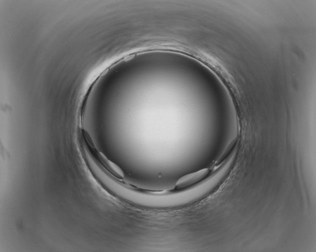 X0000090931520200708061553