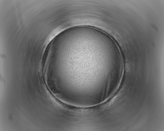 X0000090931521200708061553