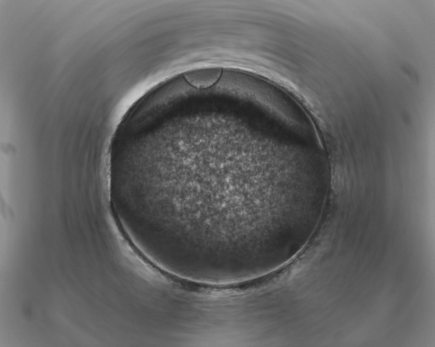 X0000090931522200708061553