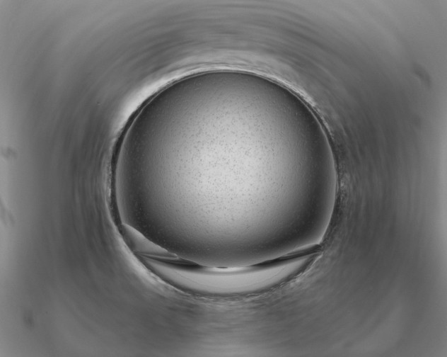 X0000090931523200708061553
