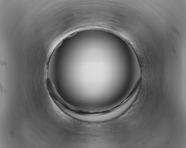 X0000090931524200708061553