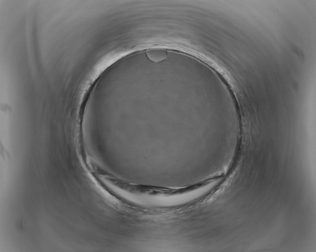 X0000090931525200708061553