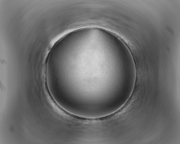 X0000090931526200708061553