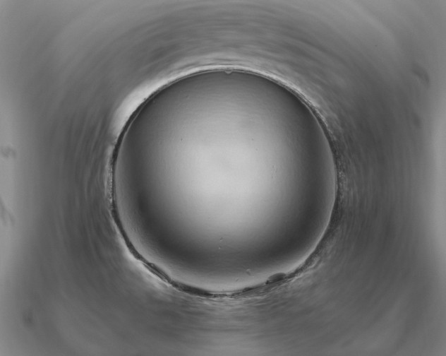 X0000090931527200708061553