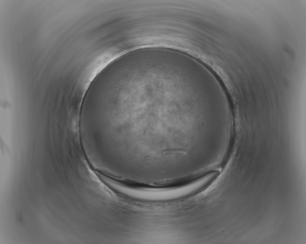 X0000090931529200708061553