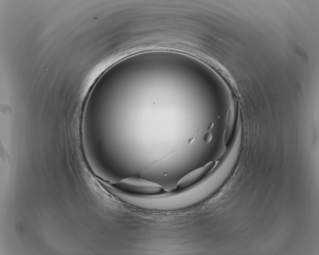 X0000090931530200708061553
