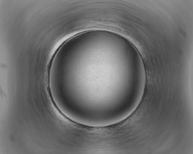 X0000090931531200708061553