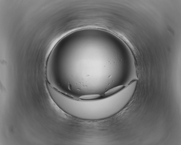 X0000090931532200708061553