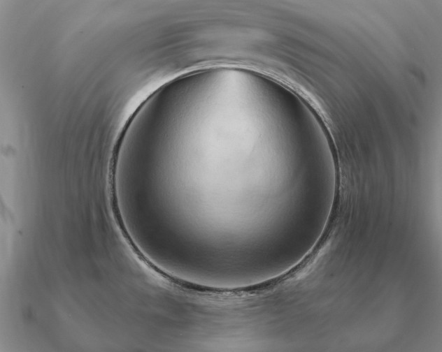 X0000090931533200708061553