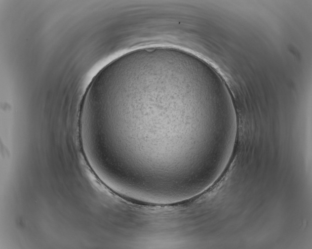 X0000090931534200708061553