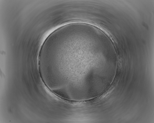 X0000090931535200708061553