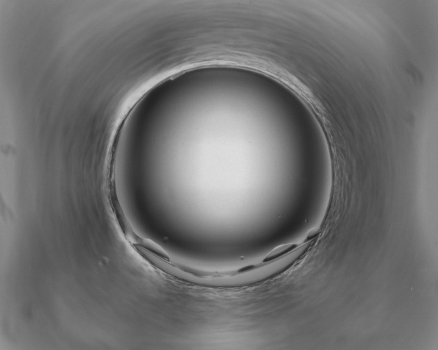 X0000090931536200708061553