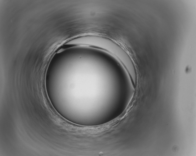 X0000090930001200708131503