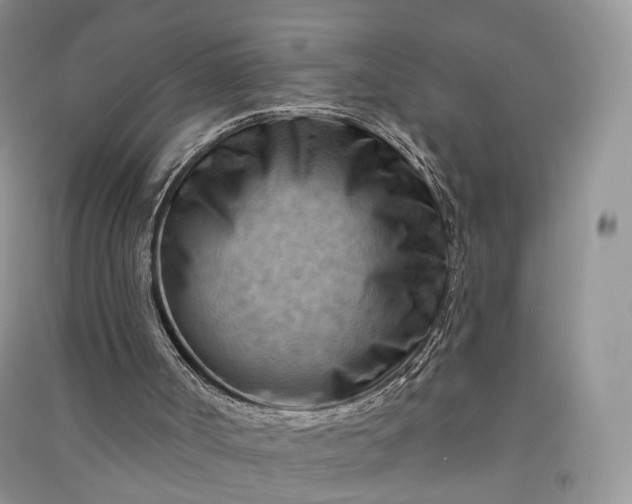 X0000090930002200708131503