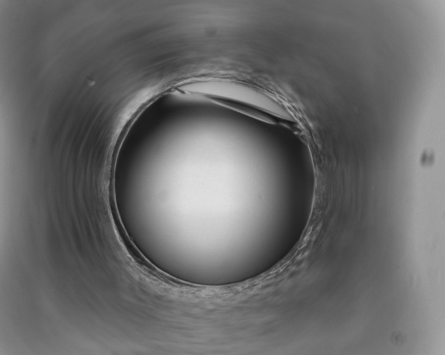 X0000090930003200708131503