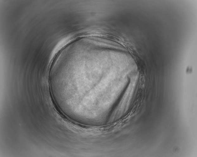 X0000090930004200708131503