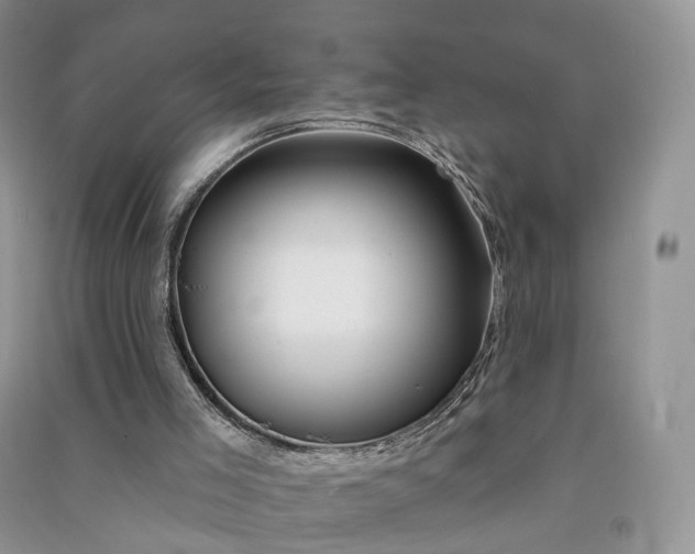 X0000090930005200708131503