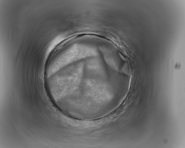 X0000090930006200708131503