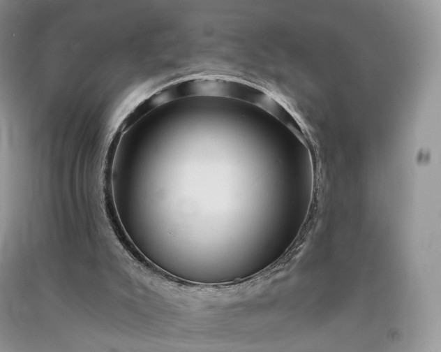 X0000090930007200708131503