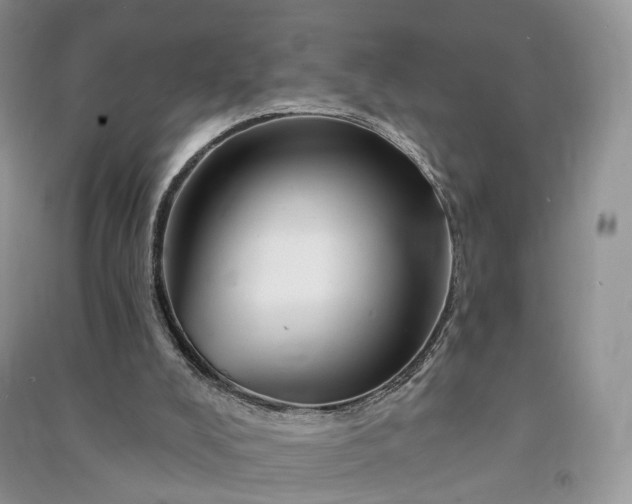 X0000090930008200708131503