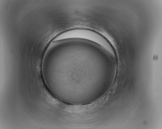 X0000090930009200708131503