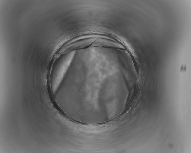 X0000090930010200708131503