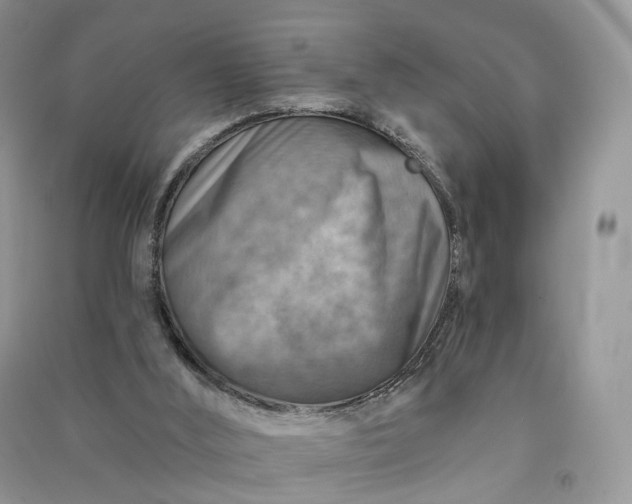 X0000090930012200708131503