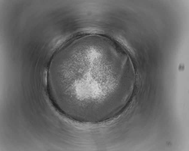 X0000090930014200708131503