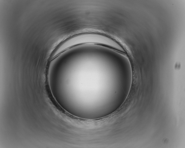 X0000090930015200708131503