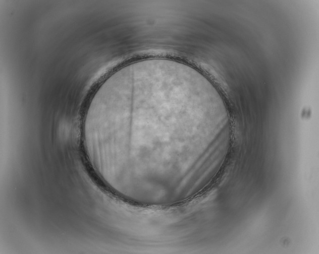 X0000090930016200708131503