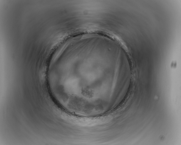 X0000090930018200708131503