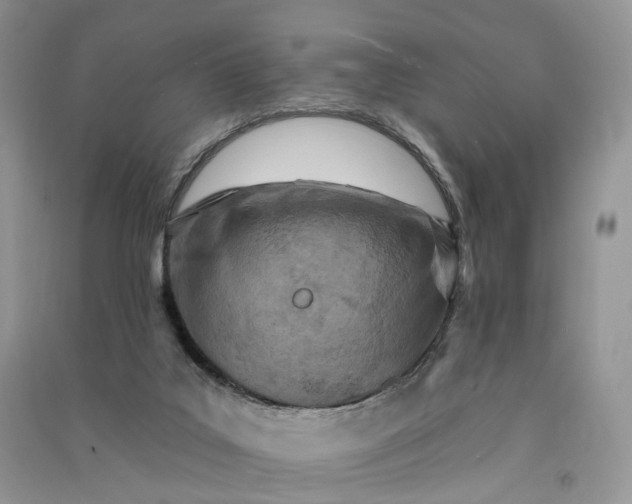 X0000090930019200708131503