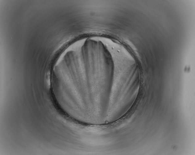 X0000090930020200708131503