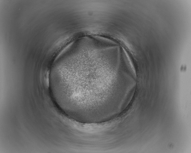 X0000090930022200708131503