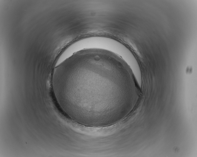 X0000090930023200708131503