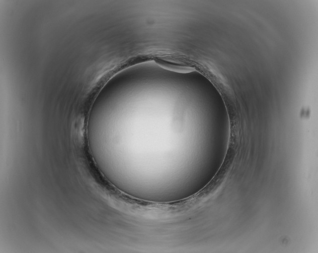 X0000090930024200708131503