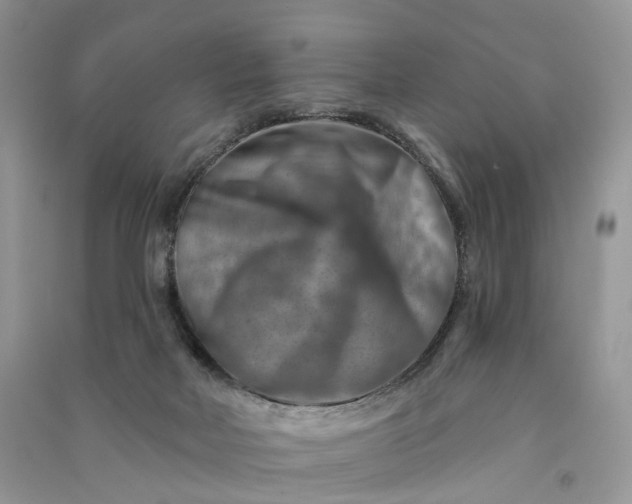 X0000090930026200708131503