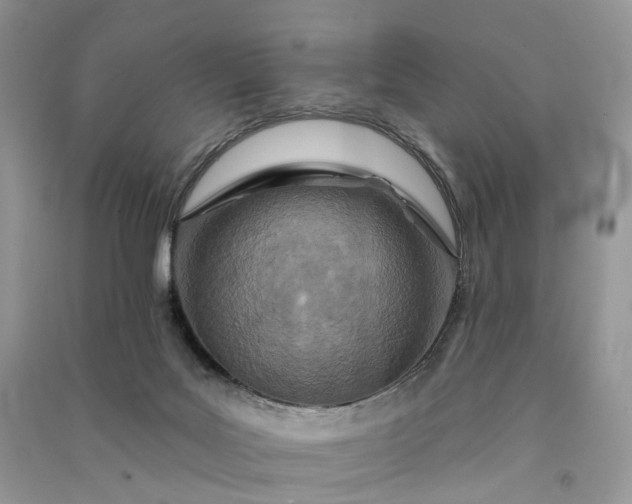 X0000090930027200708131503