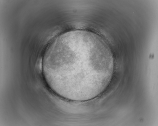 X0000090930028200708131503