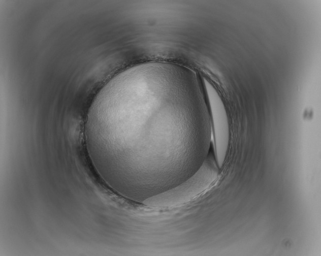 X0000090930029200708131503