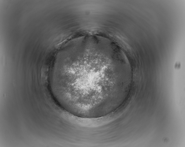 X0000090930030200708131503