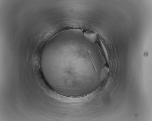 X0000090930031200708131503