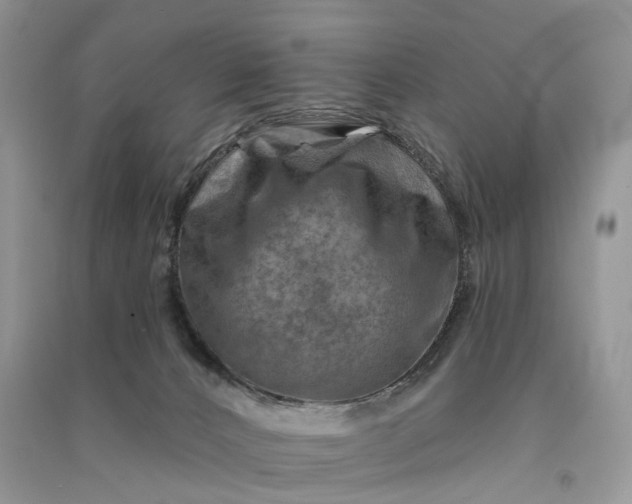 X0000090930032200708131503