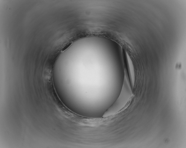 X0000090930033200708131503