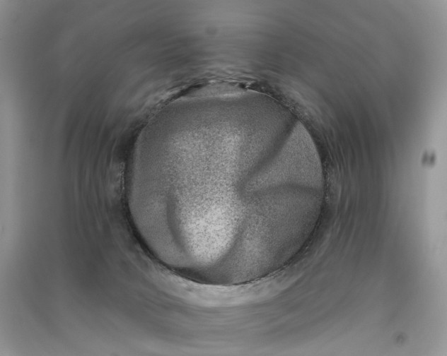 X0000090930034200708131503