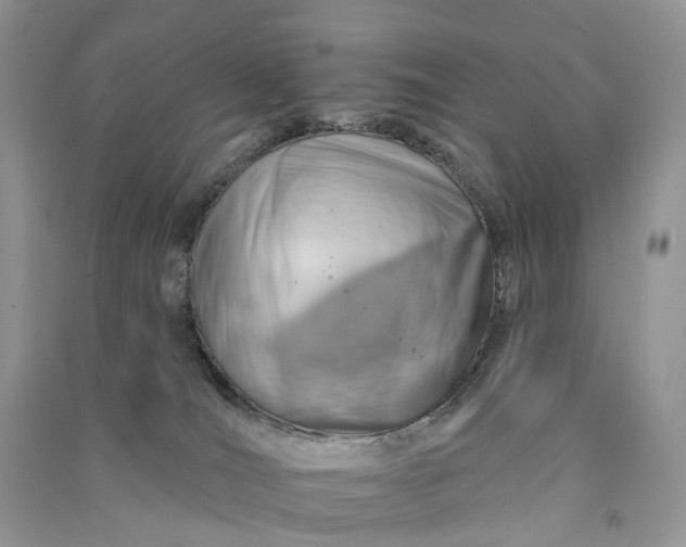 X0000090930036200708131503