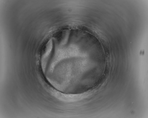 X0000090930038200708131503