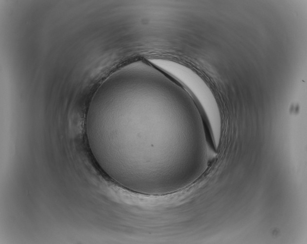 X0000090930039200708131503