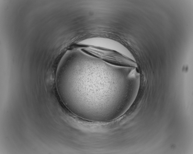 X0000090930040200708131503