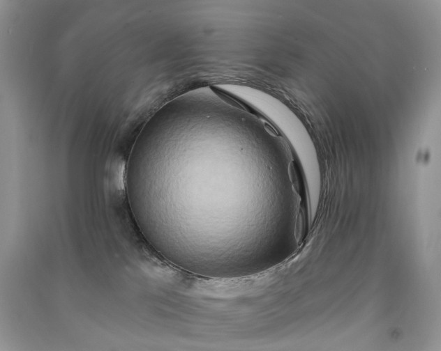 X0000090930041200708131503